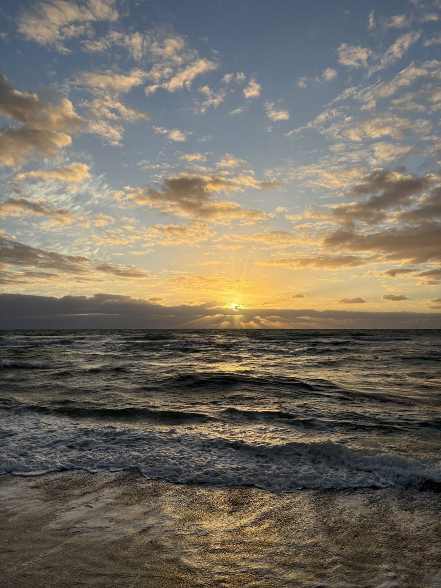 Ruby Slippers tweet media