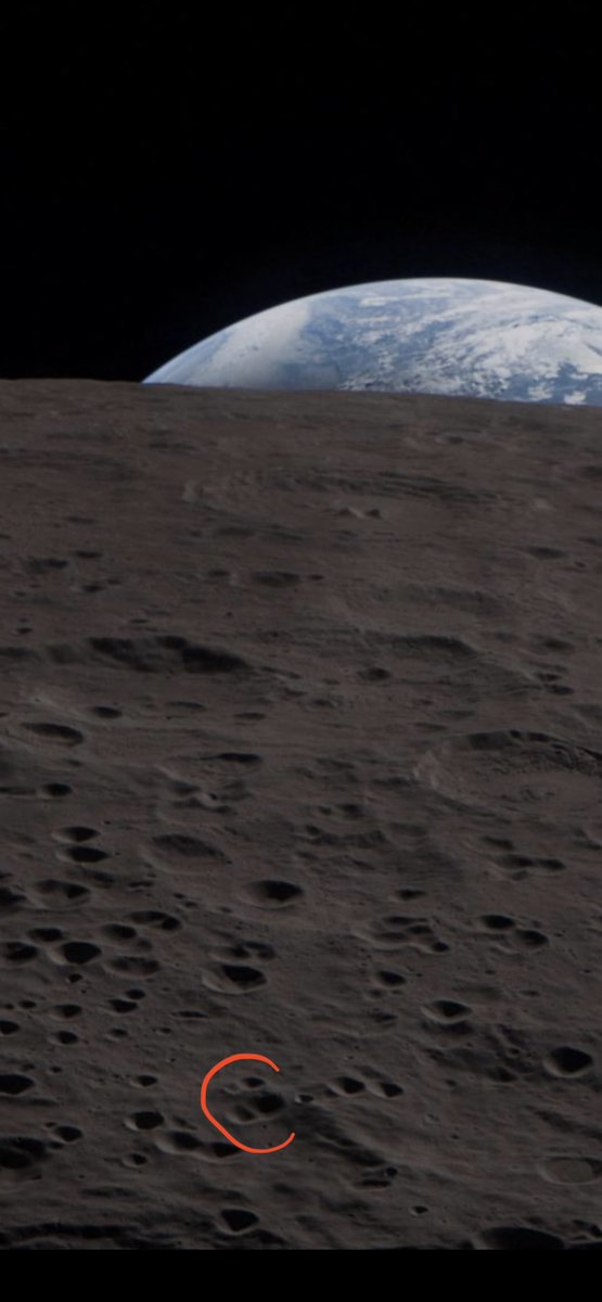 yofau.bsky.social tweet media