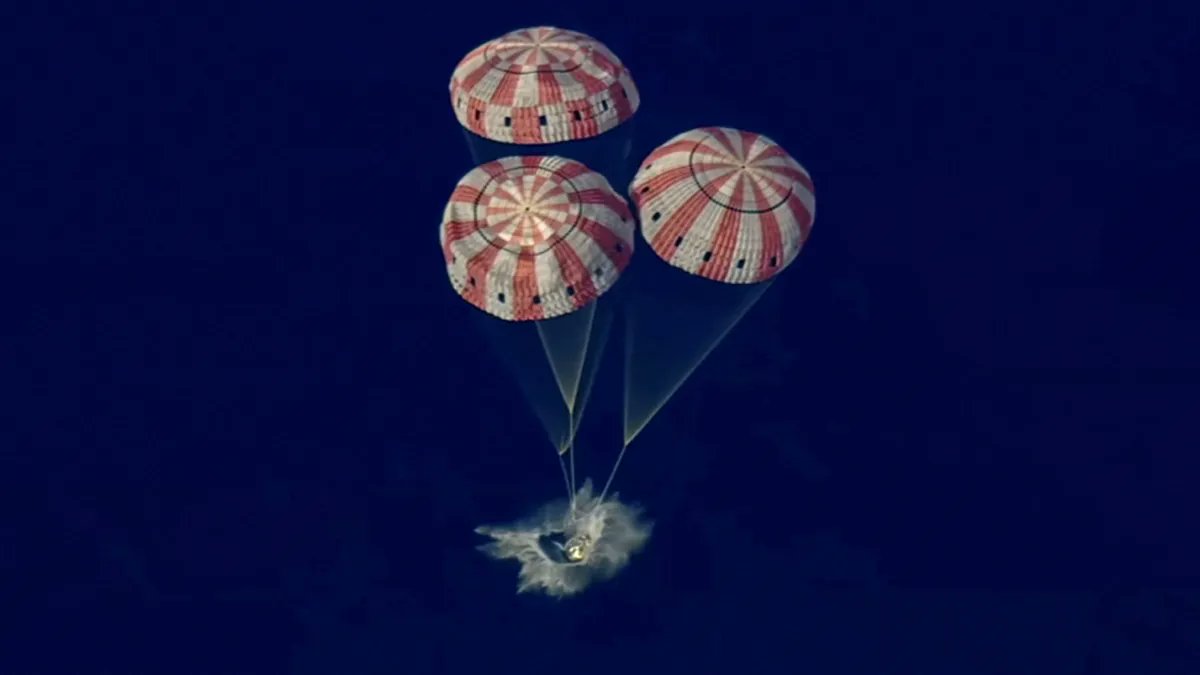 Portal Sur tweet media