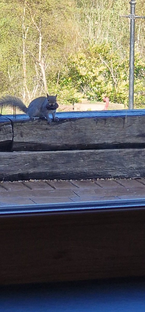 CraigHughesUpholstery tweet media