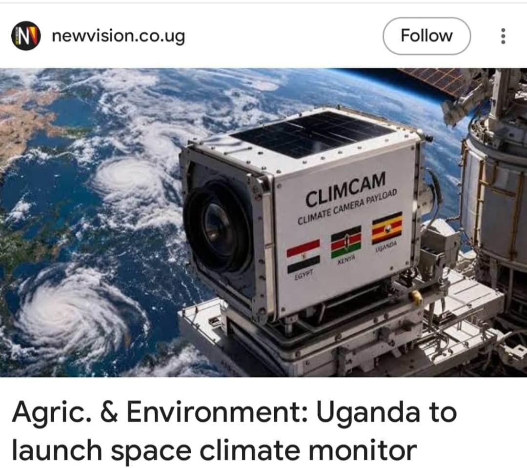 Rosemary Nalwanga tweet media