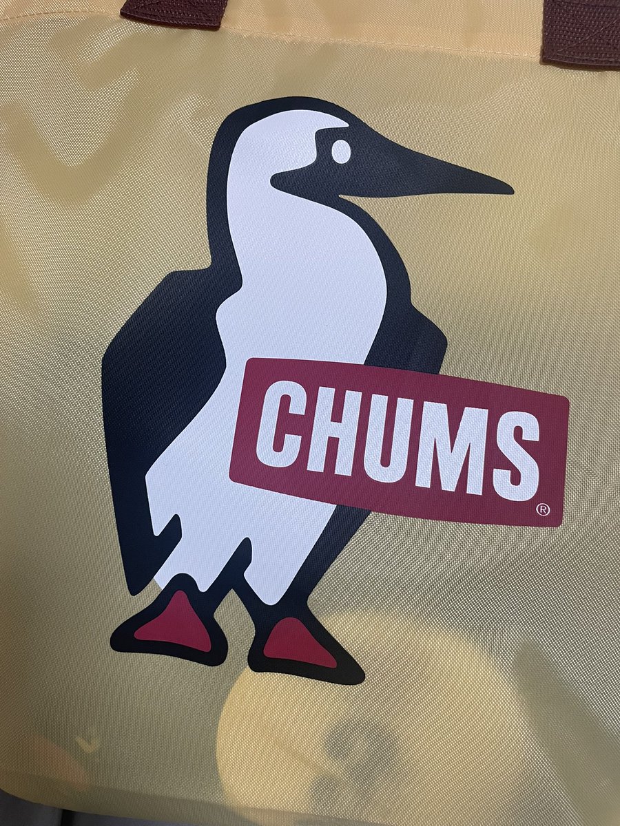 🌹ぷぎ tweet media