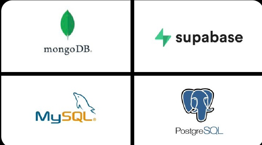 Saanvi🌺 tweet media