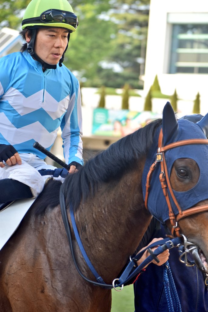 けーさん☆聖奈！ tweet media