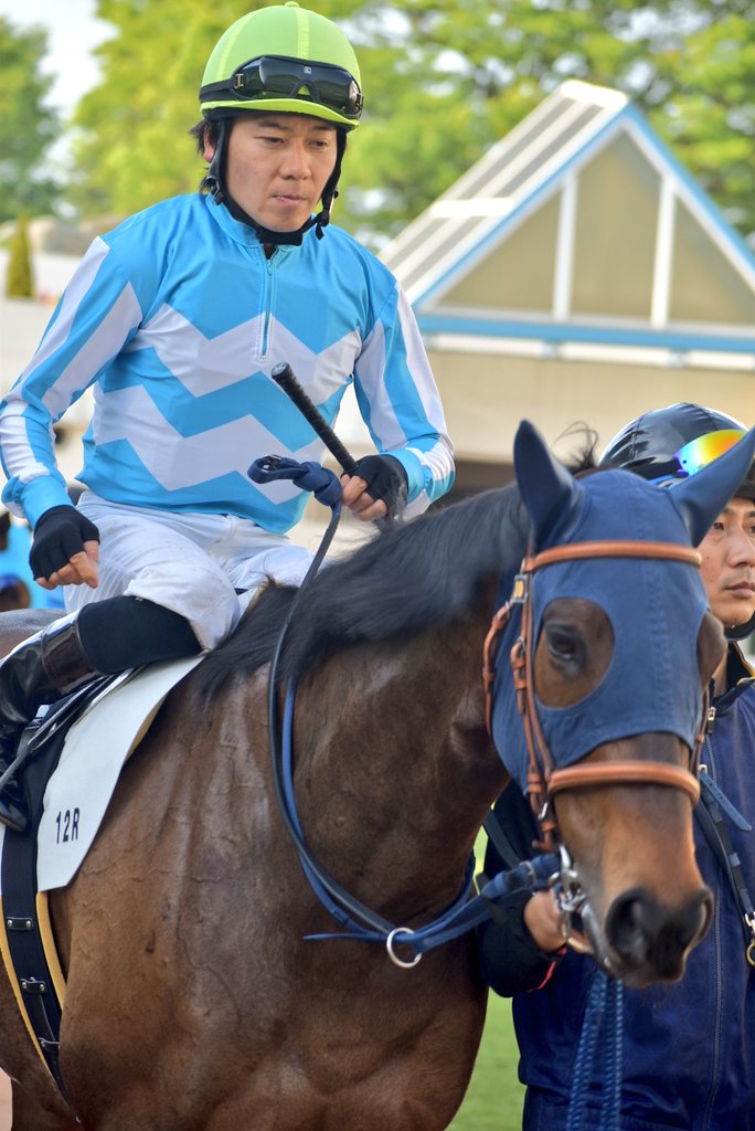 けーさん☆聖奈！ tweet media