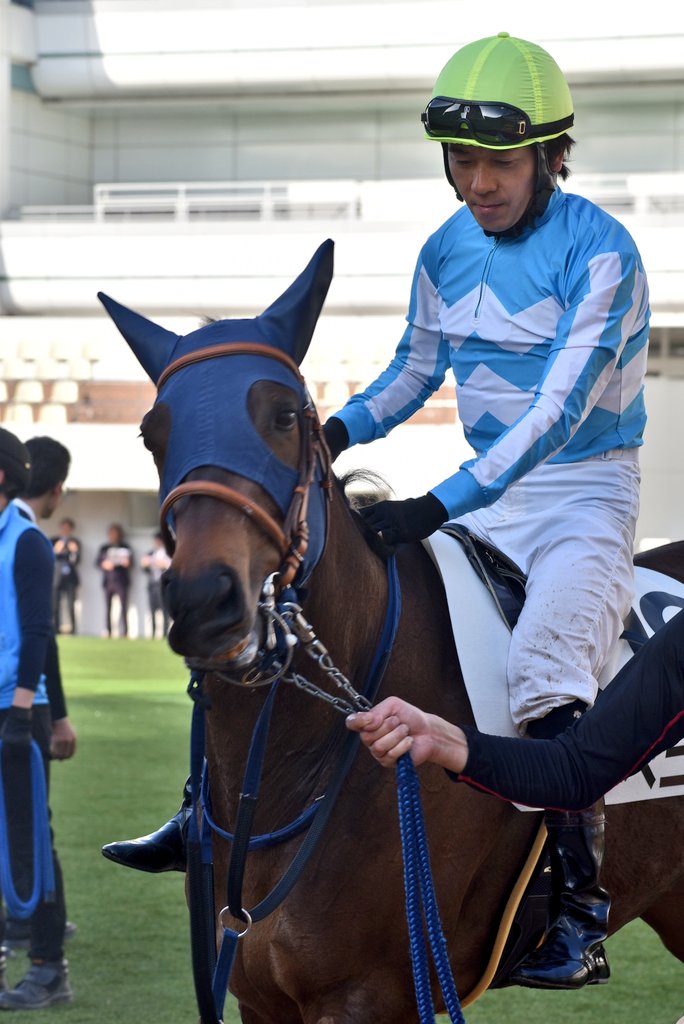 けーさん☆聖奈！ tweet media