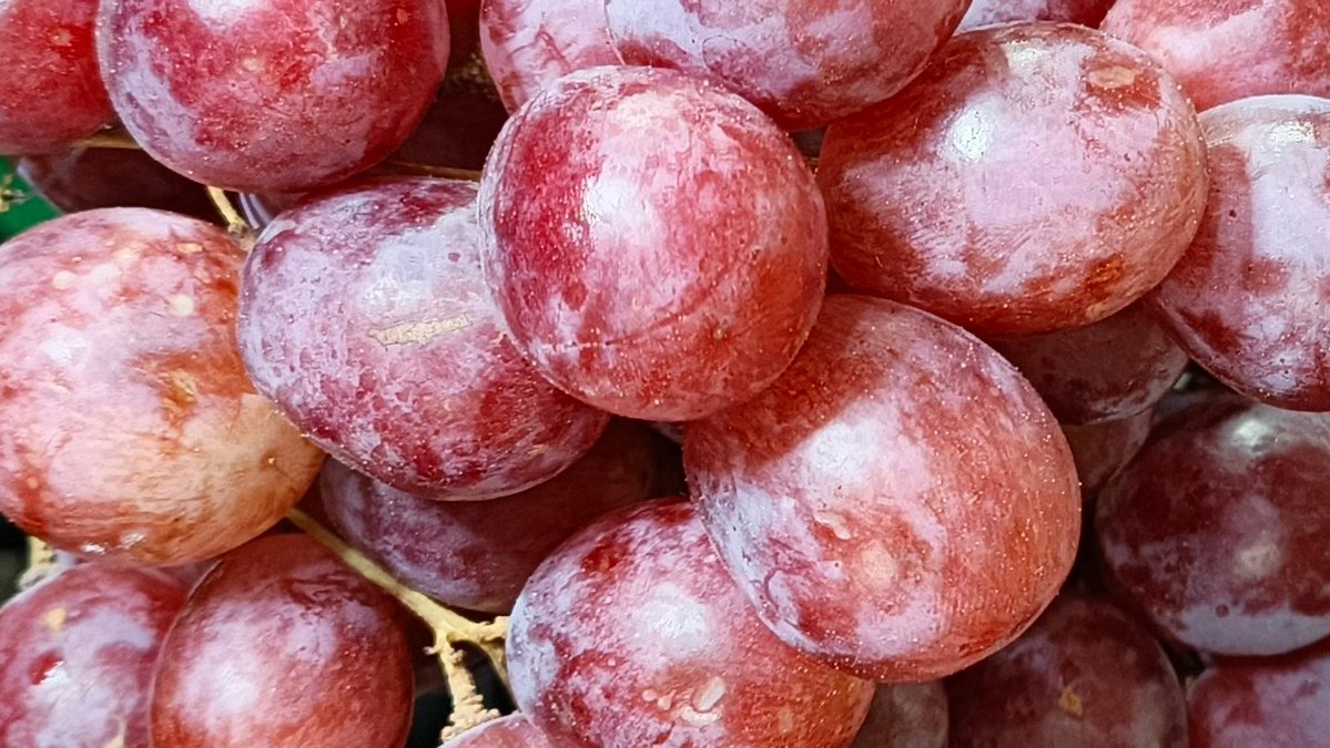 ️️️️️️️ ִֶָ tweet media