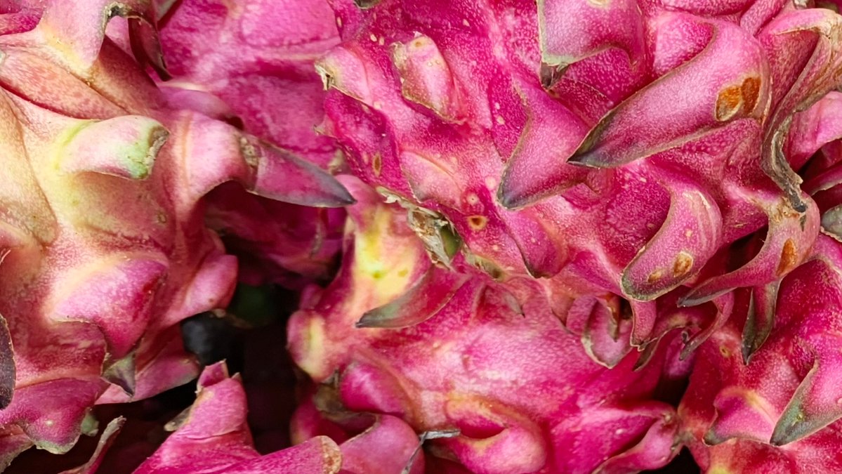 ️️️️️️️ ִֶָ tweet media