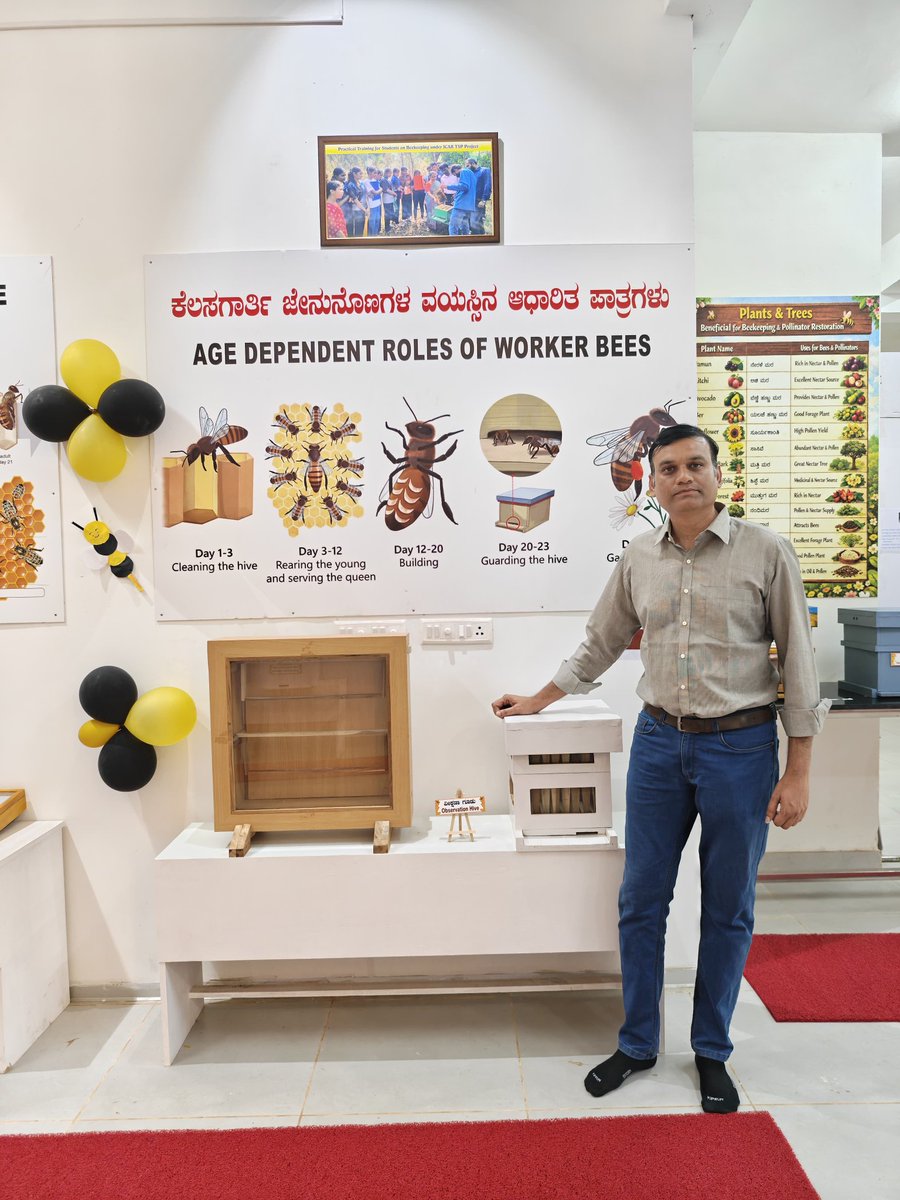 beemanindia1's tweet image. Crafted, designed and delivered a bee museum to #KSNUAHS Shivamogga, My first Museum project. 
#beesbringlife #creativespaces #beemuseum #beehoo #rebuilding #museums #artisan #workwithlove