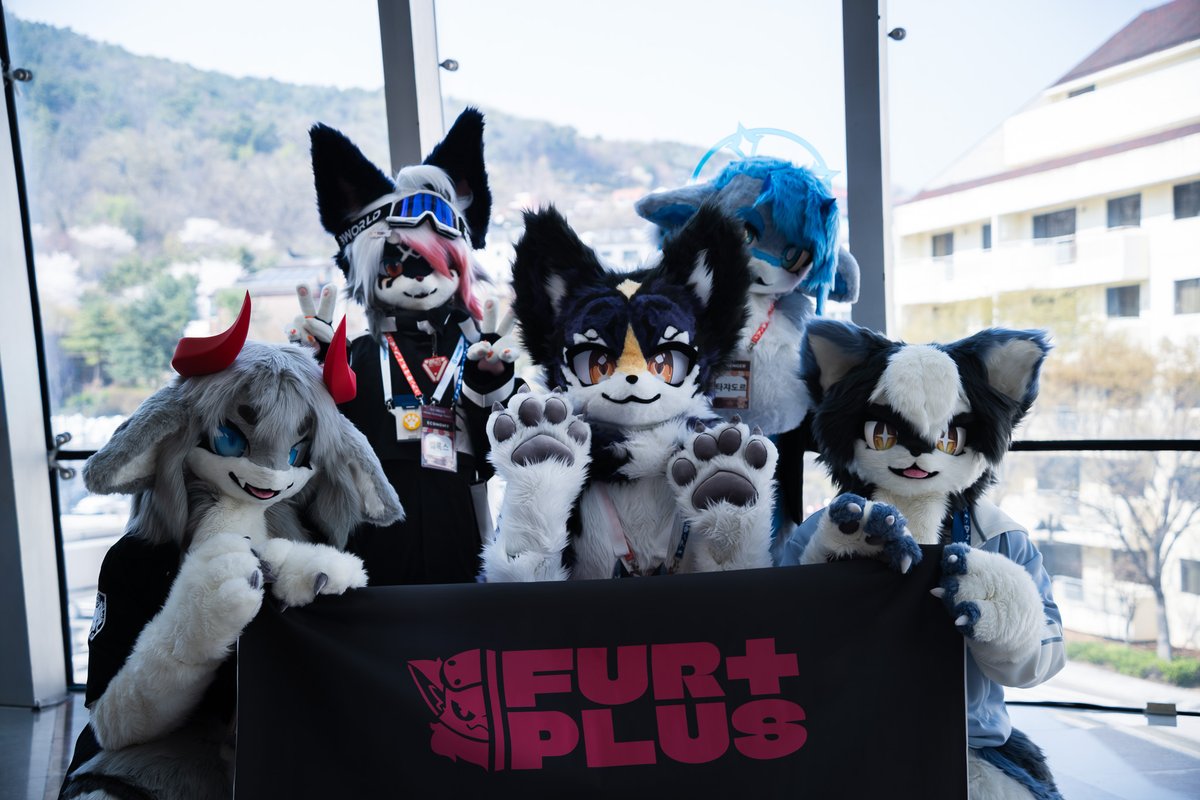 FUR+PLUS tweet media