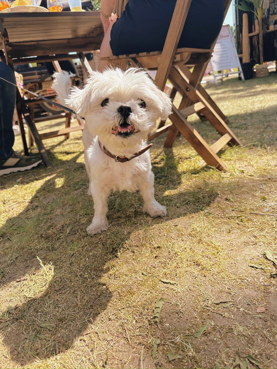 Fadi فادي tweet media