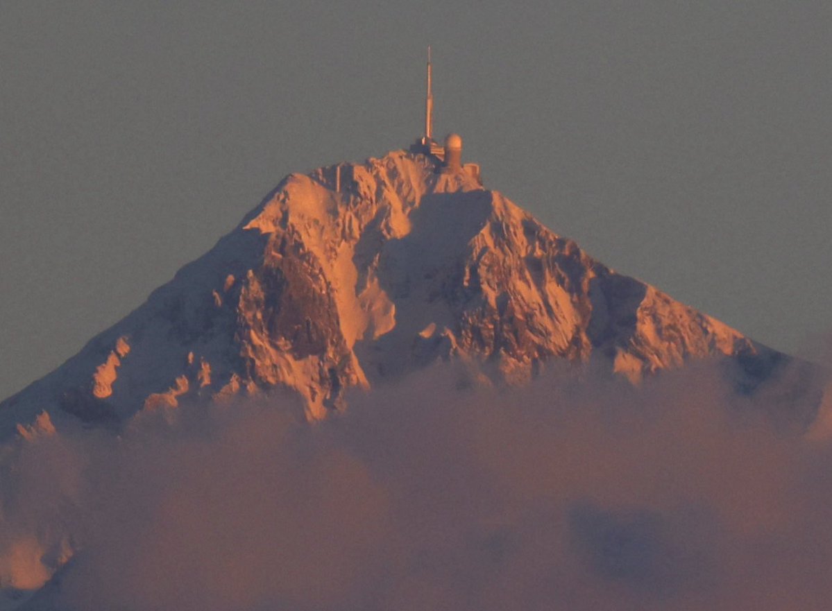 𝓕𝓻𝓮𝓭 𝓜𝓪𝓻𝓾𝓵𝓲𝓮𝓻 tweet media