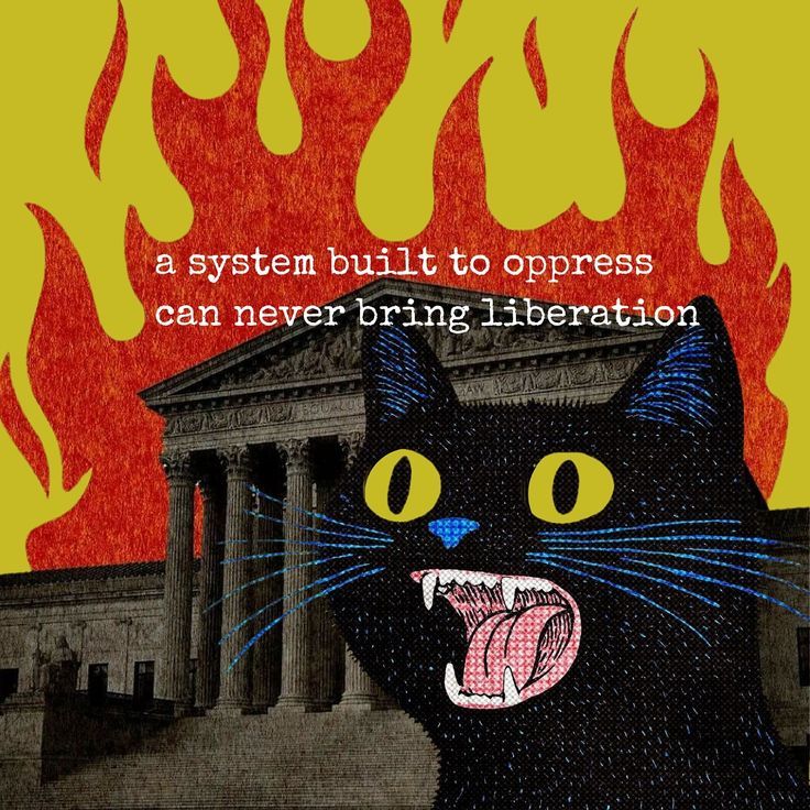 Dani Ⓐ☭🐈⬛🌈❤️🖤 tweet media