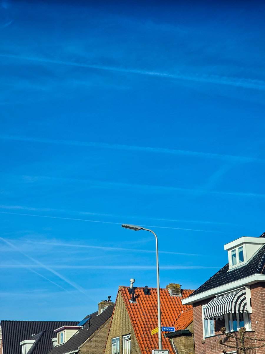 MagicPLNL tweet picture