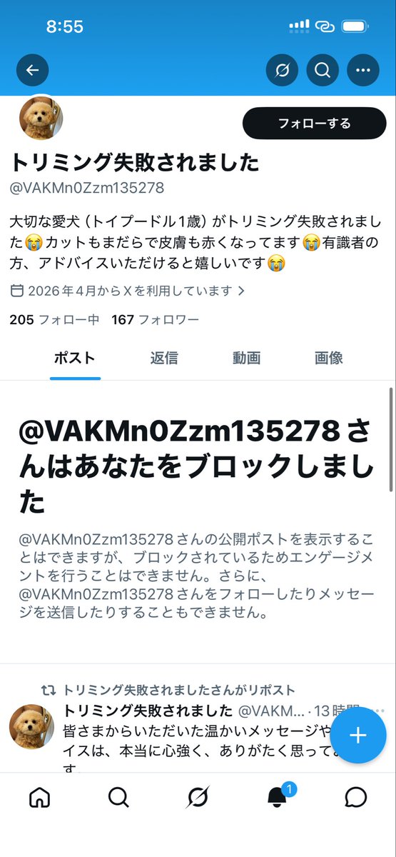 晴れ子 tweet media