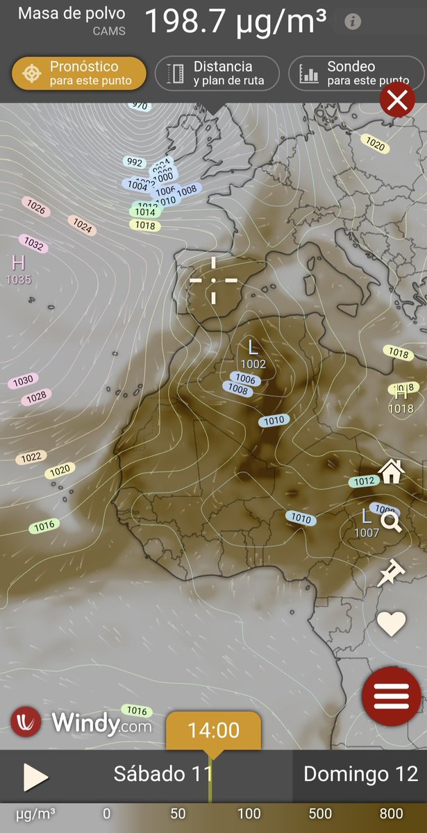 El marco tweet media