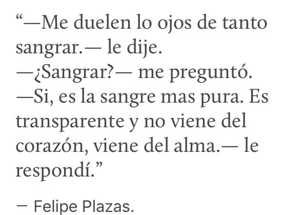 Cementerio De Libros tweet media