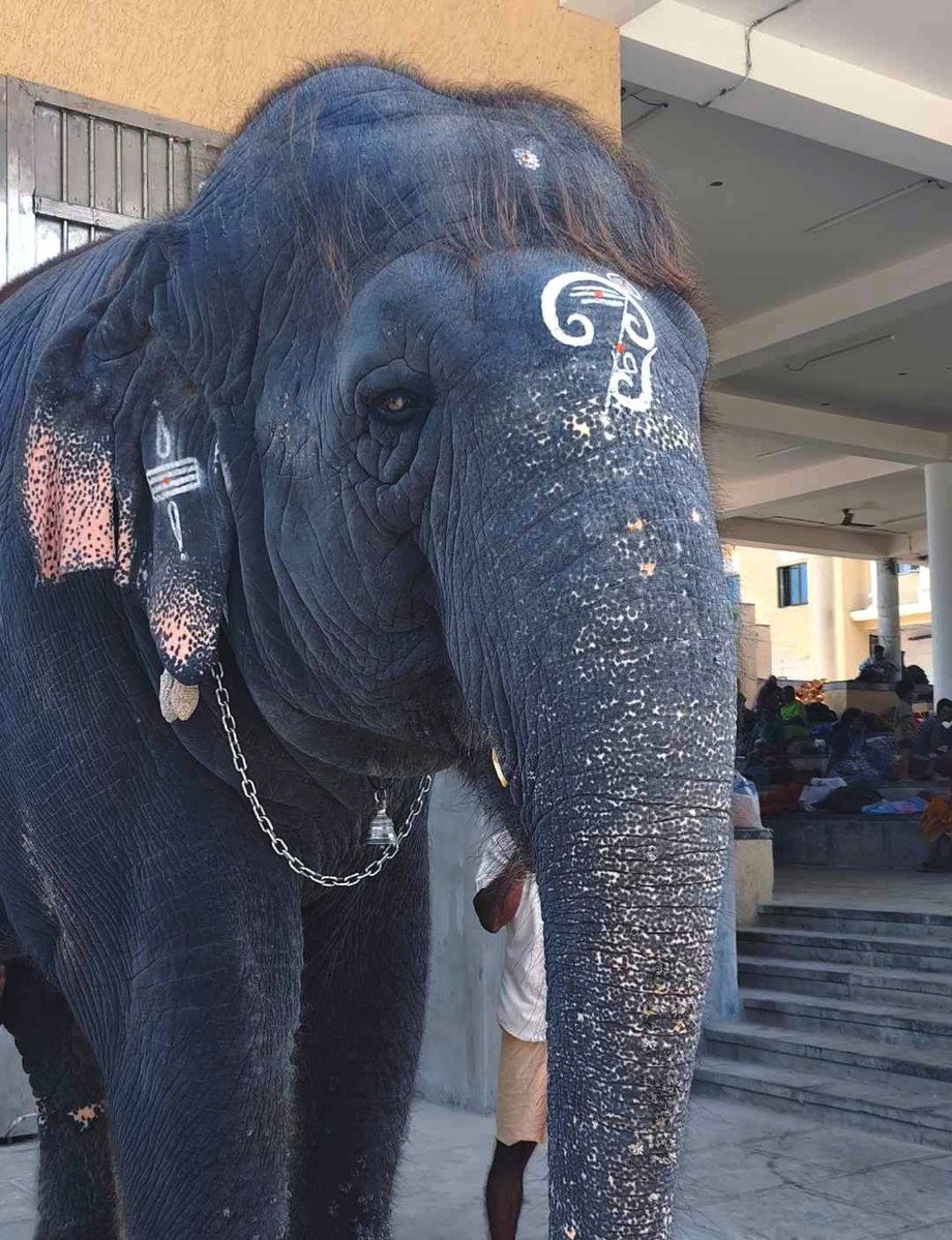 ♡𝓘𝓻𝓻𝓮𝓹𝓵𝓪𝓬𝓮𝓪𝓫𝓵𝓮 💎 tweet media