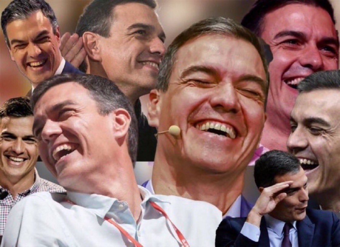 Don Maillo tweet media