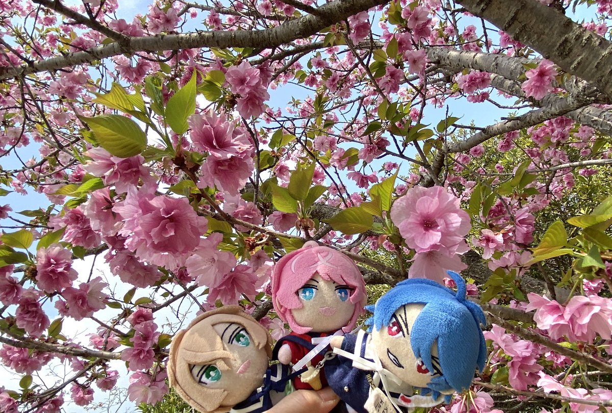 #これをみた人は無言で去年の4月の画像を貼る