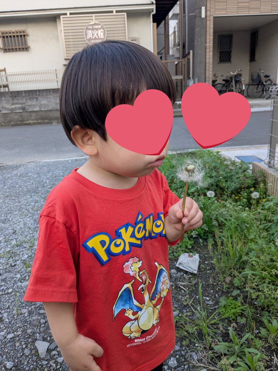 パピコ (@papiko__0401) / Posts / X