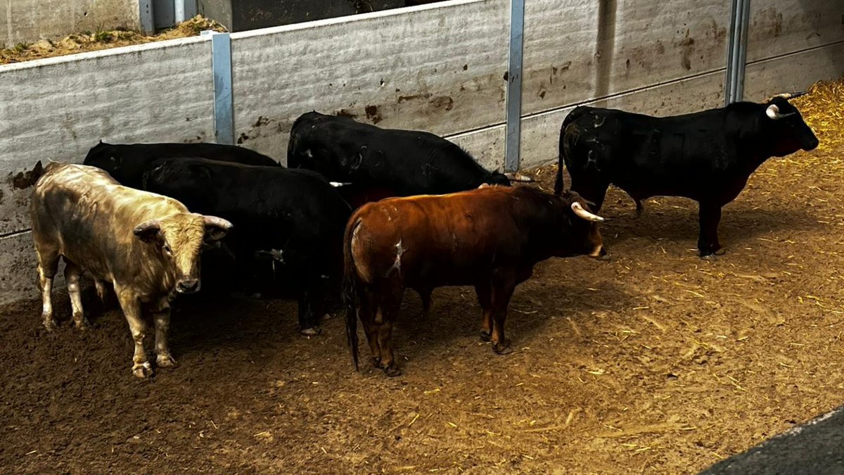 Mar Muñoz 🇪🇸 tweet media