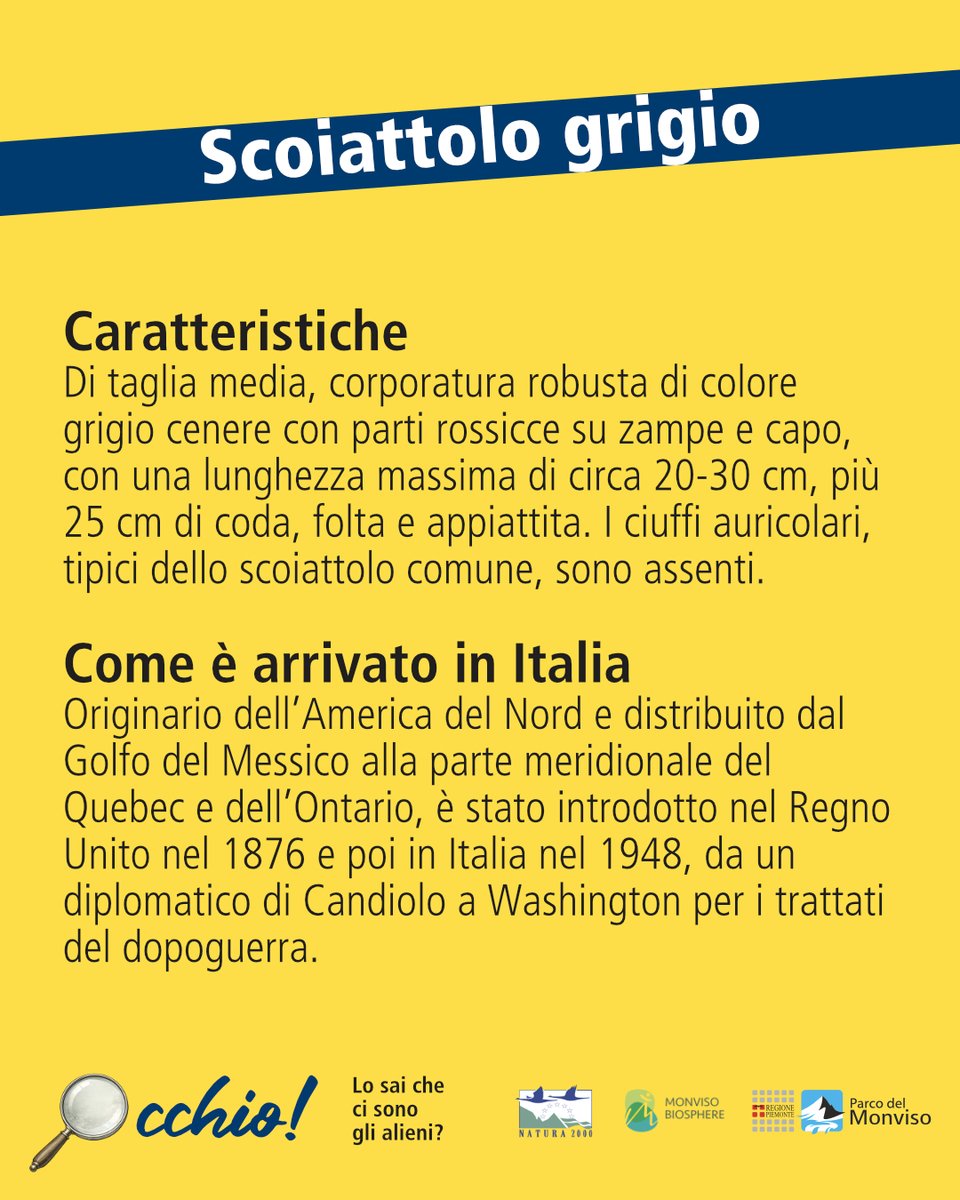 Parco del Monviso tweet media