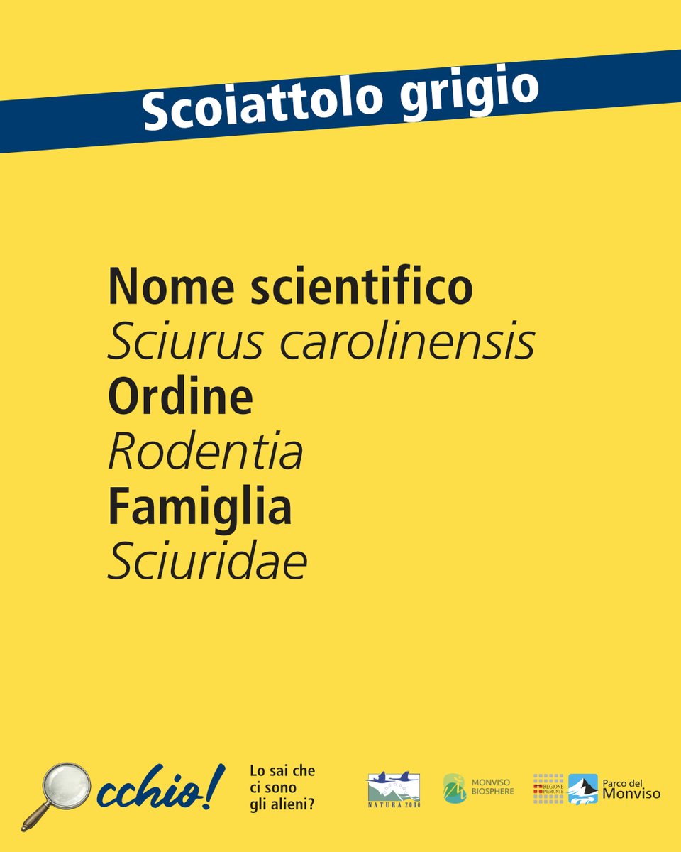 Parco del Monviso tweet media