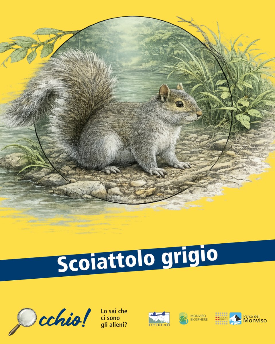 Parco del Monviso tweet media