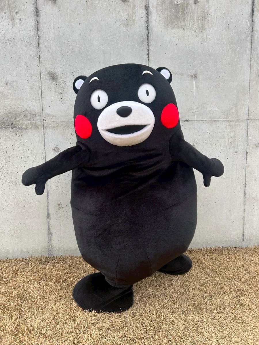 ひかる✨🧸🐾🎈 on X: 