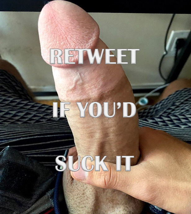 Big Thick Dream tweet media