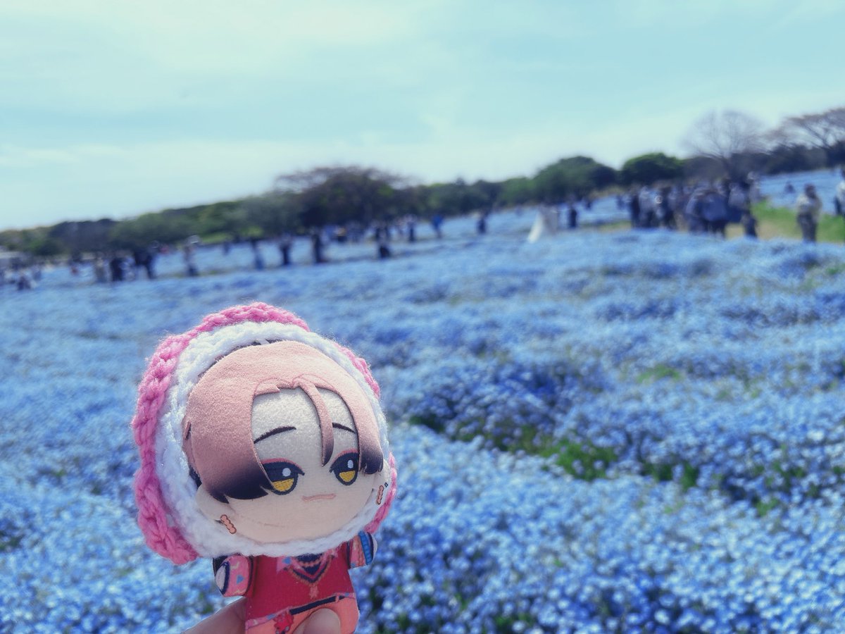 あらた tweet media