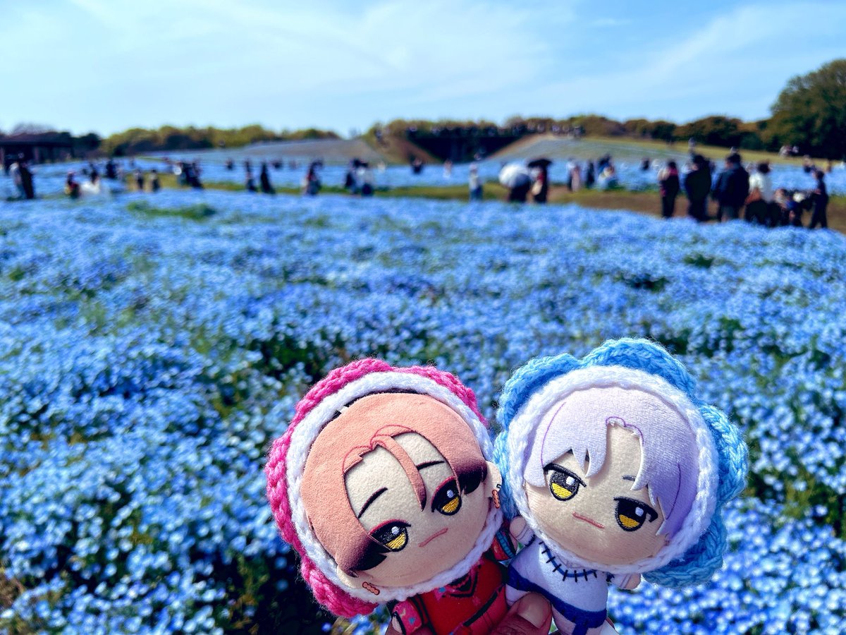 あらた tweet media