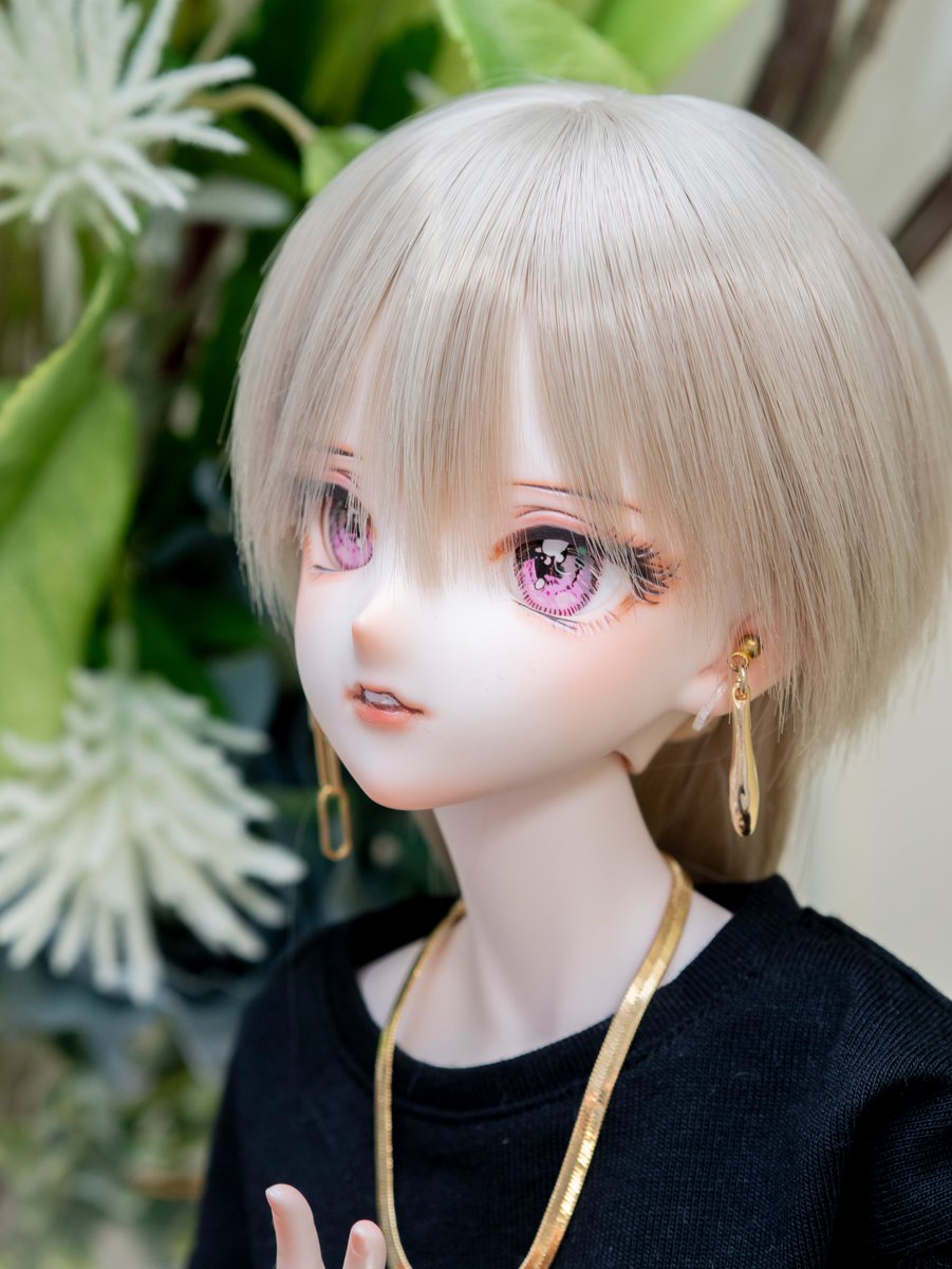 ハッピーゼリーポンチ（ドール） tweet media