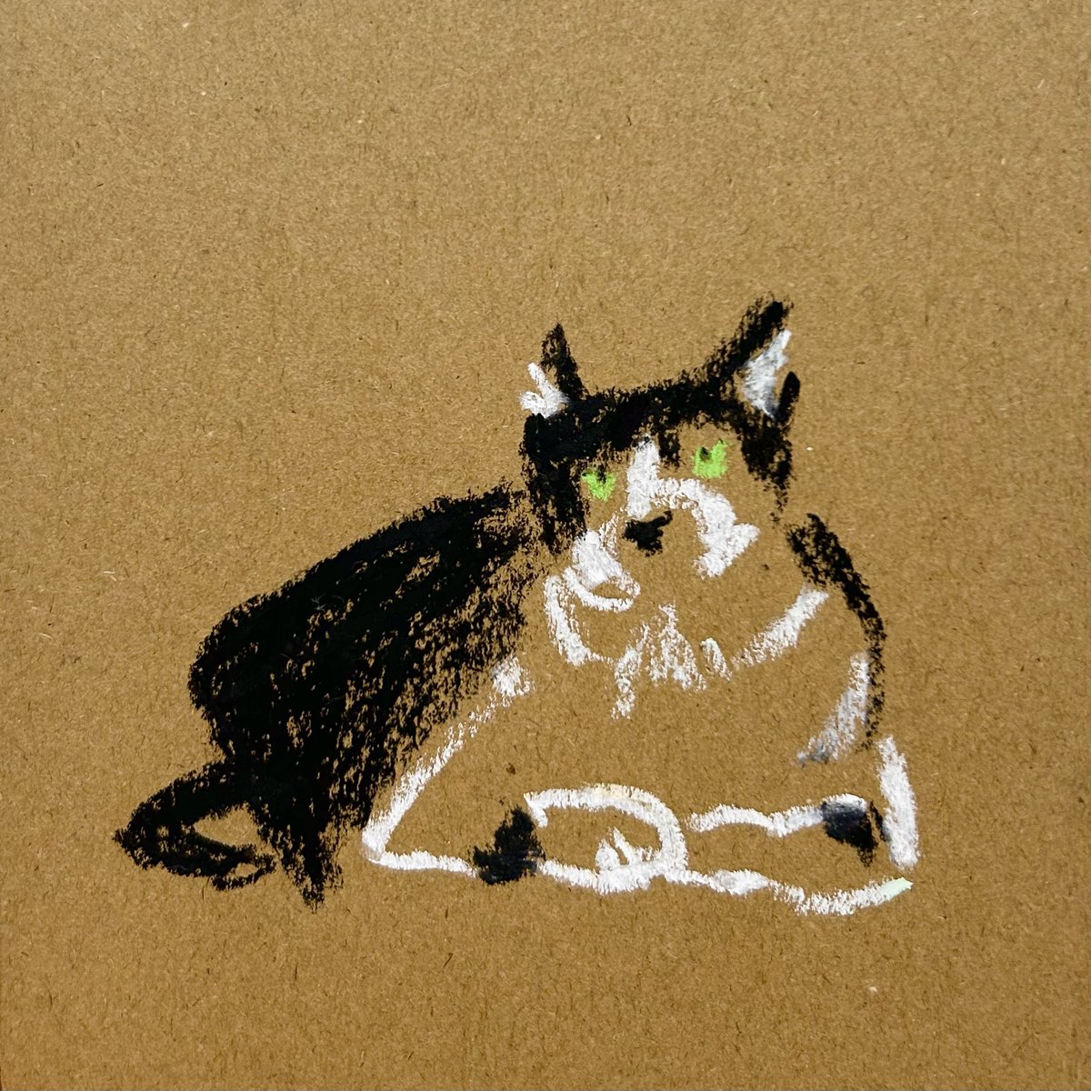 ARCO3221's tweet photo. ねっこ
クロネコのくつしたちゃんが好き🐈‍⬛ https://t.co/qmEk6GjPTi