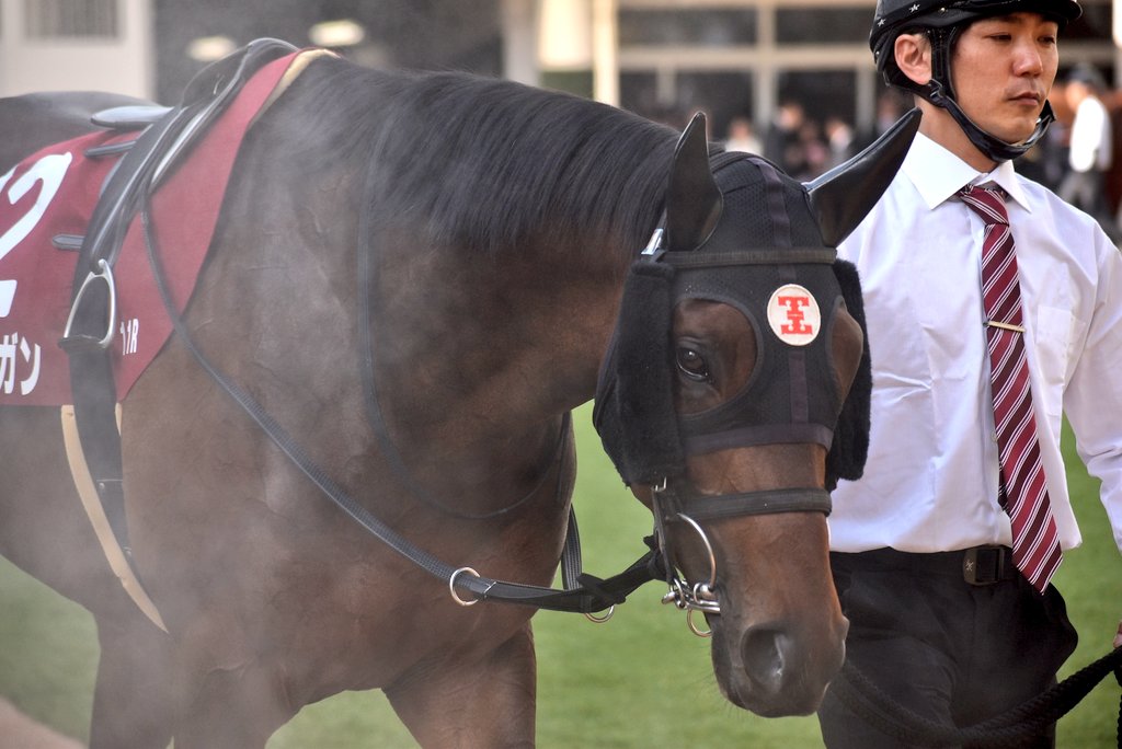 けーさん☆聖奈！ tweet media