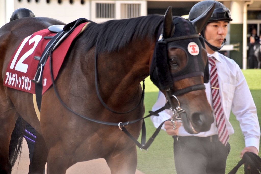 けーさん☆聖奈！ tweet media