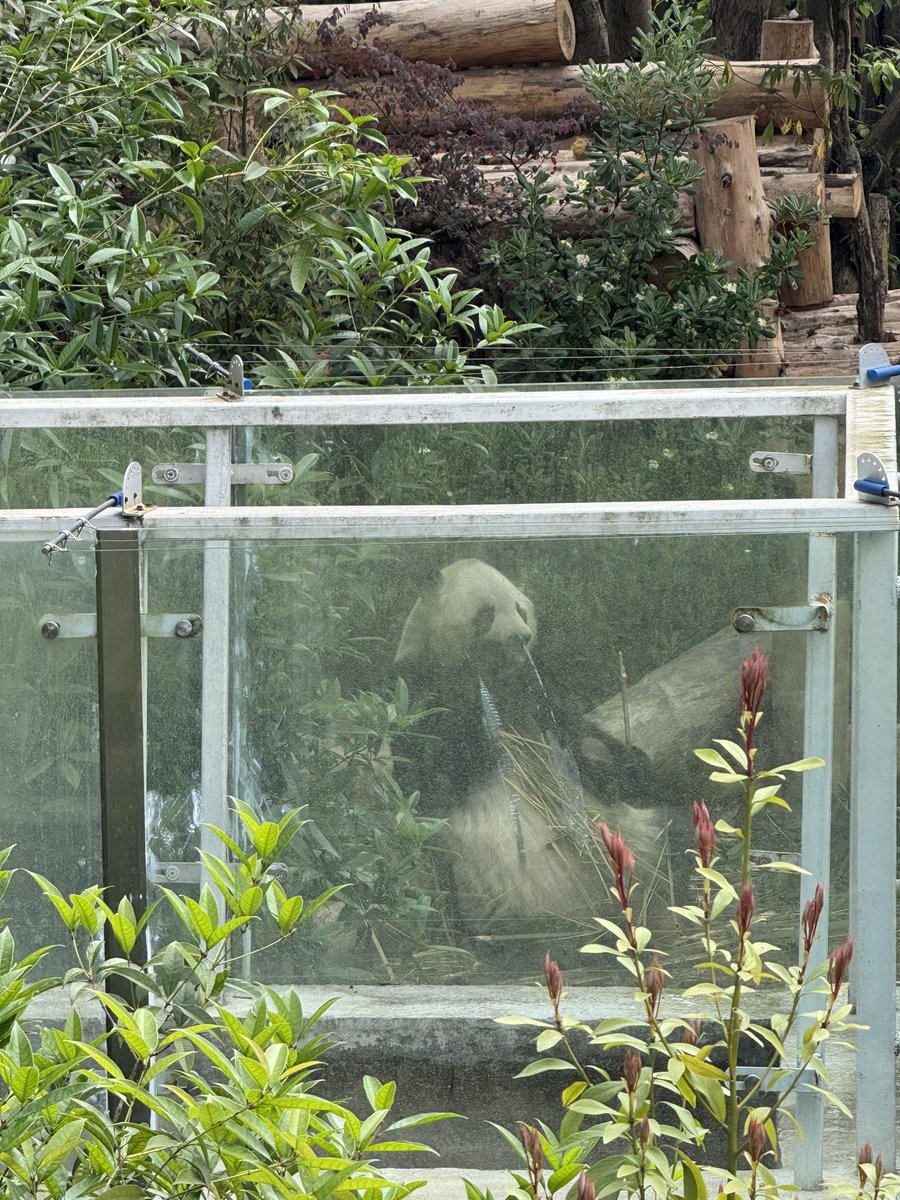 August百万 tweet media