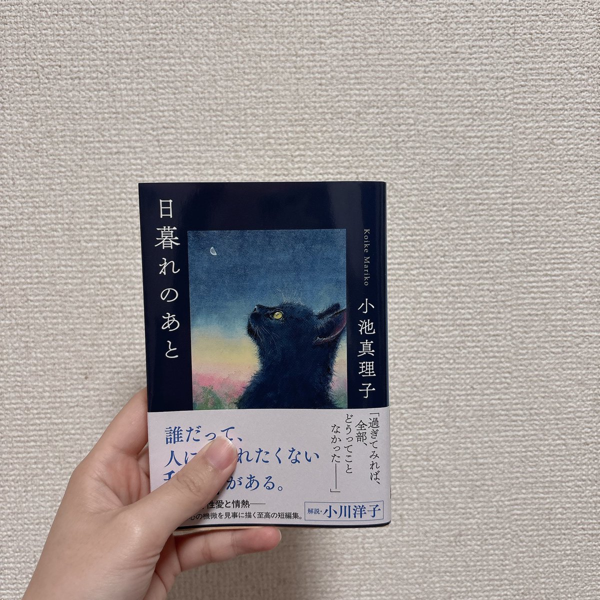茉白 tweet media