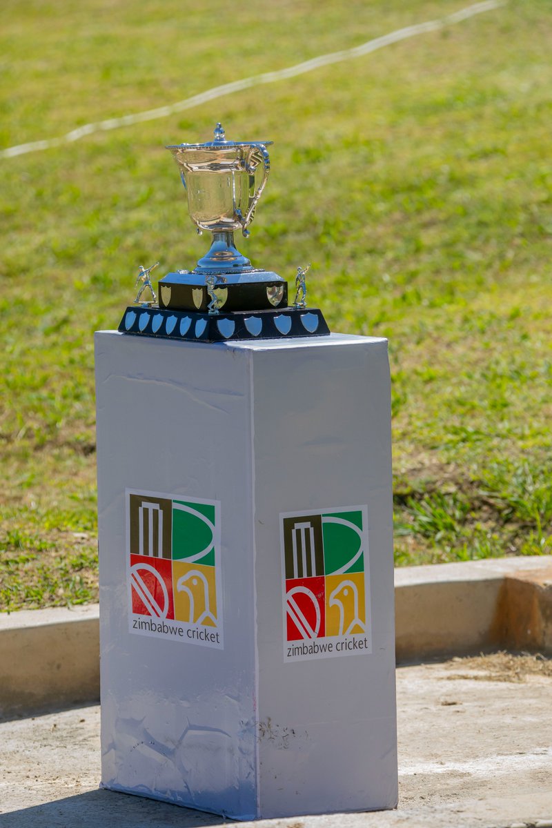 Mega Market Mountaineers tweet media