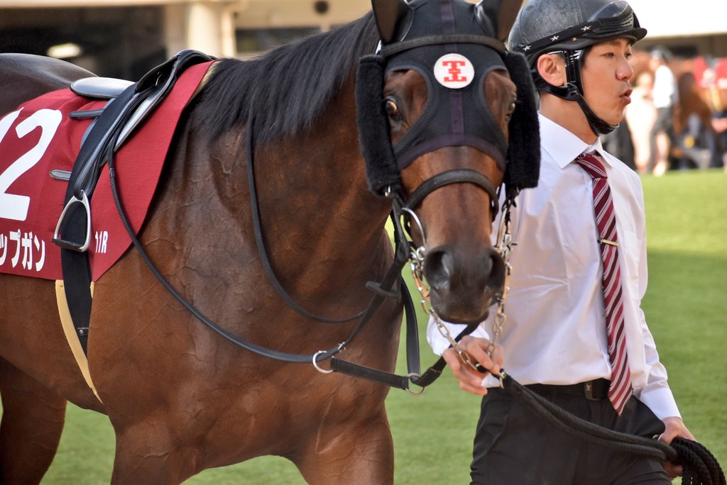 けーさん☆聖奈！ tweet media