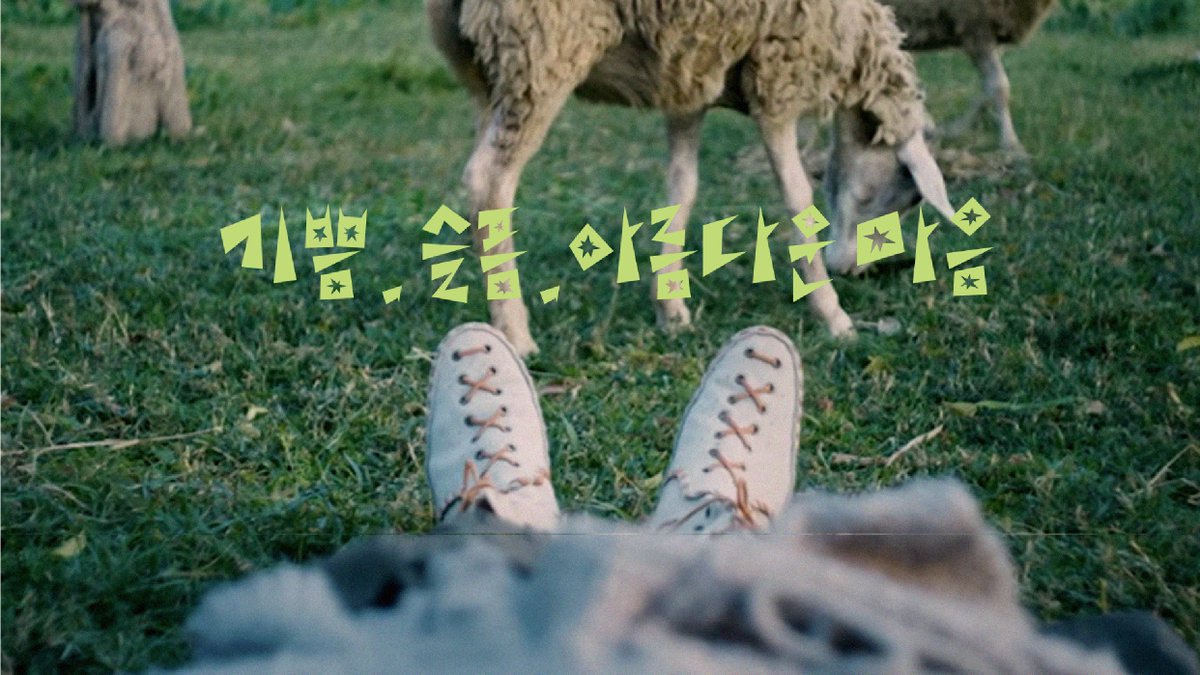 썬햄이 tweet media