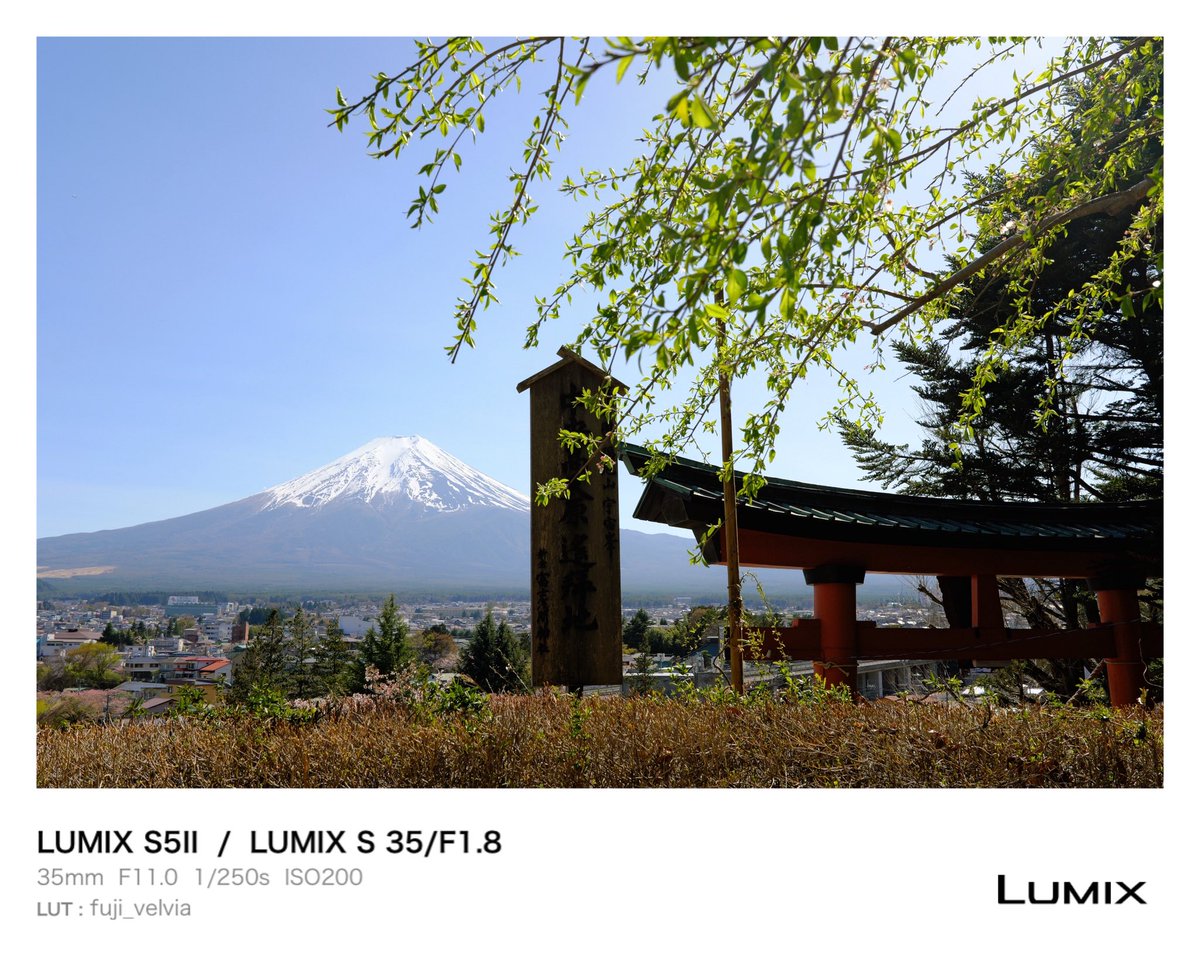 유 연 📸 tweet media