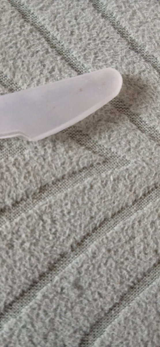 arabella tweet media