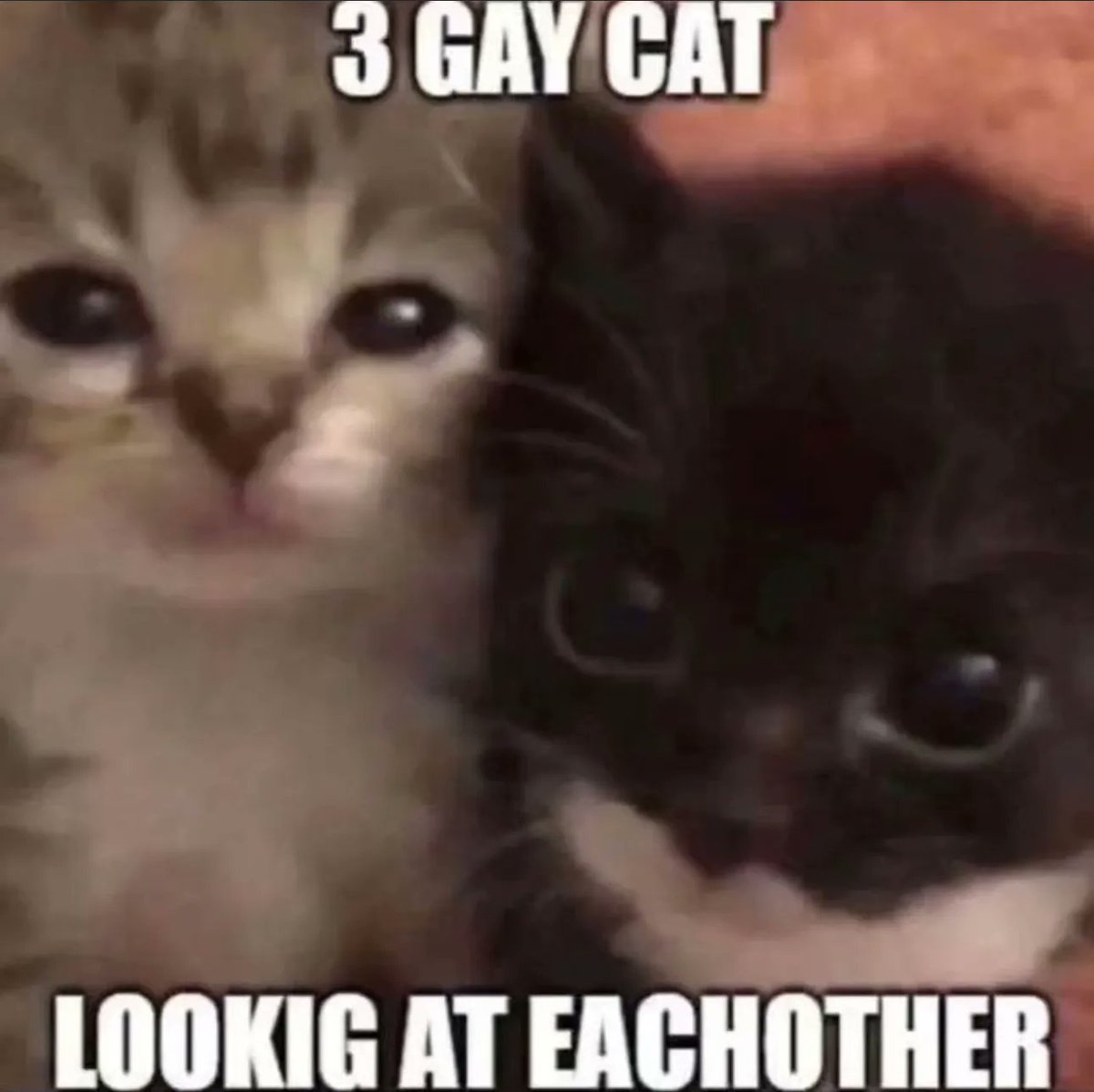 shorty .ᐟ YUNA ICE CREAM 🍨 tweet media