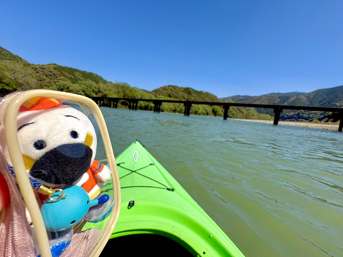 みみみ🇾🇪🦢 tweet media