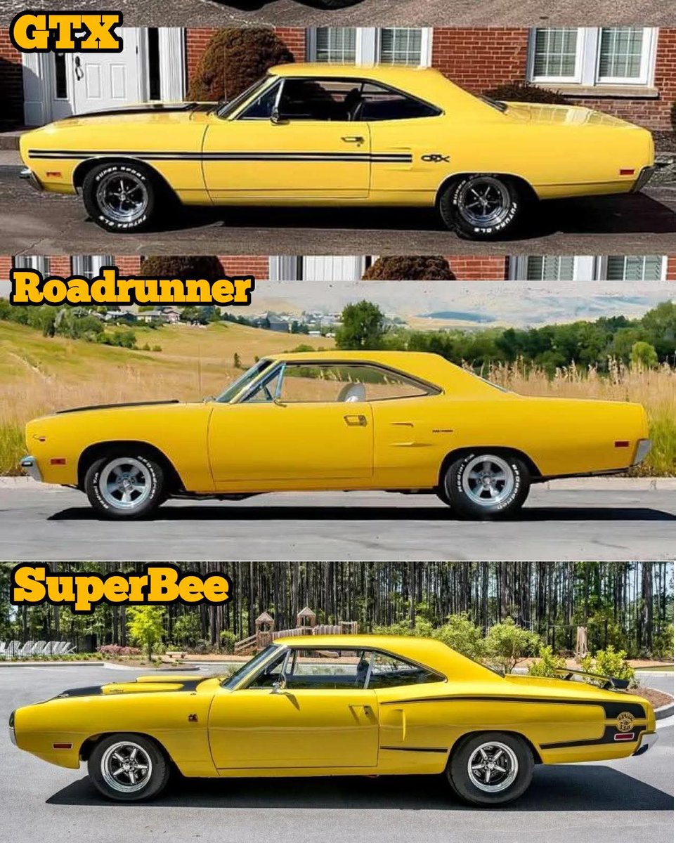 Top, Middle or Bottom 🤔