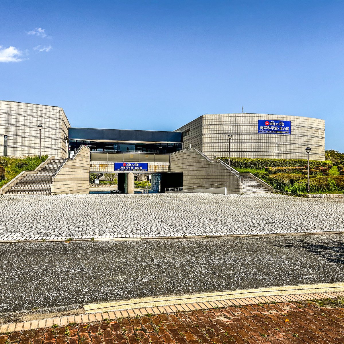 てるる tweet media