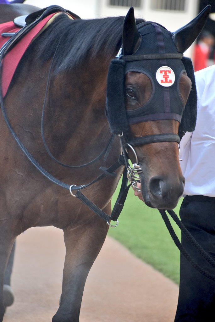 けーさん☆聖奈！ tweet media