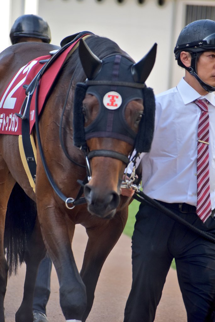 けーさん☆聖奈！ tweet media